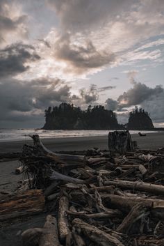 driftwood on the beach with an island in the background