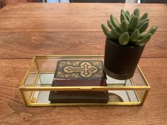 a small succulent plant sitting on top of a wooden table next to a book