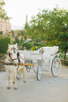 a white horse pulling a white carriage down a street in front of some bushes and trees