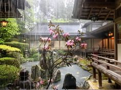 the inside of a japanese style house with pink flowers in the foreground and rain falling on the roof