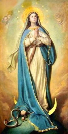 an image of the immaculate mary