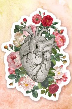 Human Heart Art Aesthetic Bloom Heart Anatomy Heart Anatomy Art Aesthetic, Anatomical Heart Art Flowers, Human Heart Art Aesthetic, Heart Drawing With Flowers, Heart Art Aesthetic, Heart Anatomy Drawing, Drawing With Flowers, Human Heart Diagram, Heart Anatomy Art