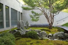 an outdoor area with moss and rocks in the foreground, next to a tree