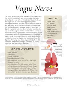 Nerf Vague, Functional Health, Vagus Nerve, Vie Motivation, Health Research, Hormone Health, Health Knowledge, Top Recipes