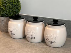 three white canisters with black lids are sitting on the counter next to a potted plant