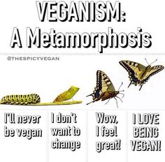 Vegan Benefits, Animal Liberation, Vegan Inspiration