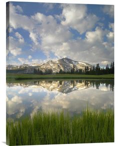 a mountain range is reflected in the still water of a lake surrounded by tall grass