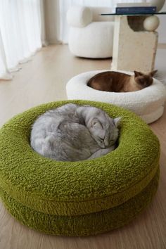 two cats are sleeping in their beds on the floor next to each other, one cat is curled up