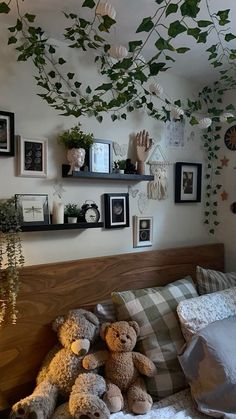 there is a teddy bear on the bed with many pictures and plants hanging above it