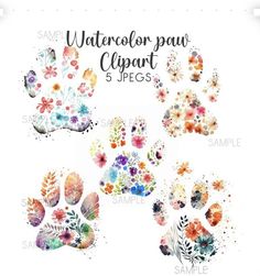 watercolor paw clipart 5 pieces with flowers and leaves on the bottom, in different colors