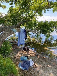 clothes hanging out to dry in the shade of a tree by the water's edge