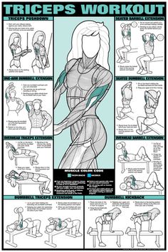 a poster with instructions on how to do the triceps workout