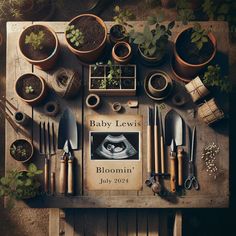 baby lewis's birth announcement surrounded by potted plants and gardening utensils