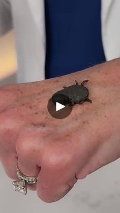 a person's arm with a bug on it and a ring around the wrist