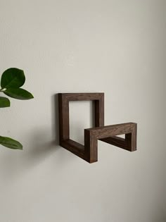 two wooden shelves on the wall next to a potted plant