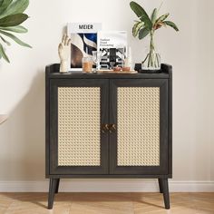 a black cabinet with wicker doors and handles on the bottom shelf next to a potted plant