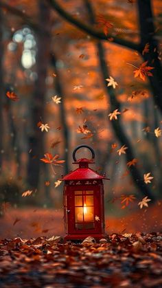 a red lantern sitting in the middle of a forest filled with leaves and falling from trees