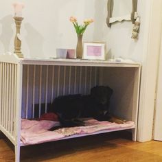 a black dog laying on top of a pink blanket under a white crib next to a wooden floor