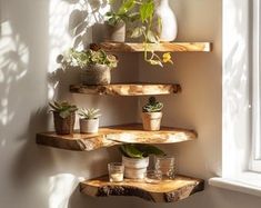 three wooden shelves with potted plants on them in the corner of a room next to a window