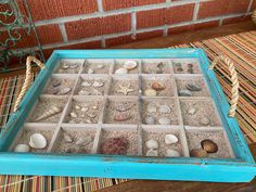 a tray filled with sea shells on top of a table next to a brick wall