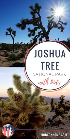 joshua tree national park with the sun in the background and text overlay that reads joshua tree national park with kids