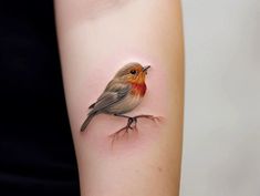 a small bird is on the arm of a woman's right arm, with an orange and red breast