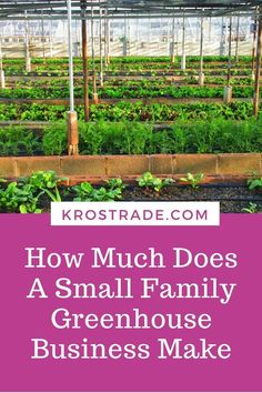 small family greenhouse business make money and grow vegetables in the garden with text overlay reading how much does a small family greenhouse