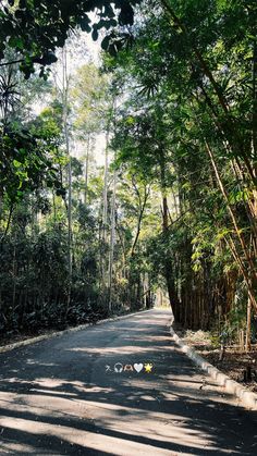 an empty road surrounded by trees and bushes