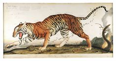 a painting of a tiger with its mouth open