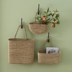 two baskets hanging on the wall with plants in them and an orange tree branch sticking out of one