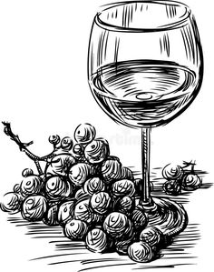 a glass of wine next to grapes on the ground, vintage line drawing or engraving