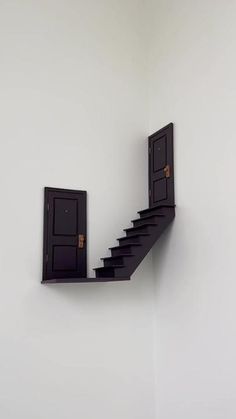 there is a stair case with two doors on the wall and one door open to let in light