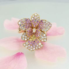 Vanda Miss Joaquim Orchid Flower 18K Rose Gold ring 42 diamonds 0.58ct 67 pink sapphire 0.97ct 5 yellow sapphire 0.06ct Ring weighs approx. 7gm (depending on ring size) Dimension: Height 24mm Width 21mm Please let us know your ring size and we will adjust accordingly. Please note that price may vary for larger sizes. Pink Multi-stone Sapphire Diamond Ring, Pink Multi-stone Sapphire Ring With Diamond, Pink Sapphire Multi-stone Ring With Diamond, Luxury Pink Multi-stone Sapphire Ring, Pink Diamond Multi-stone Jewelry, Rose Gold Multi-stone Sapphire And Diamond Ring, Rose Gold Sapphire Ring With Multi-stone Diamond, Vanda Miss Joaquim Orchid, Vanda Miss Joaquim