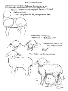 an animal worksheet for children to learn how to draw sheep and other animals