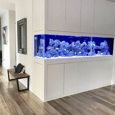 a fish tank in the middle of a living room with hardwood floors and white walls