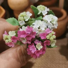 a hand holding a small bouquet of pink and white flowers in front of potted plants