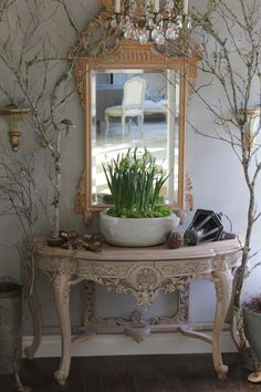 a potted plant sitting on top of a table next to a mirror