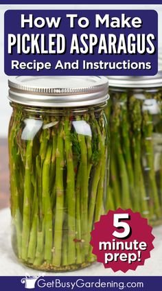 2 tall glass mason jars filled with pickled asparagus spears Canning Asparagus, Pickled Asparagus Recipe, Pickled Recipes, Easy Pickle, Pickled Vegetables Recipe, Pickled Asparagus, State Recipes, Pickled Foods, In A Pickle