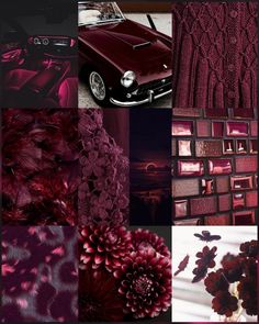 a collage of red and purple images with flowers, cars, and other things