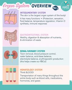 the organ system overview poster with information on how it works and what they are used