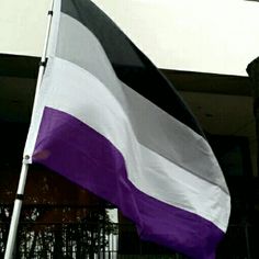 a large purple and white flag flying in the wind