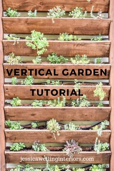 vertical garden with succulents and text overlay that reads vertical garden tutorial