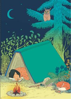 an illustration of a boy laying in front of a tent with owls flying over it