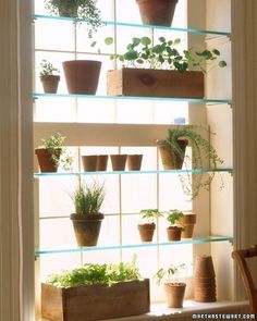 a window sill filled with potted plants next to a wall mounted planter