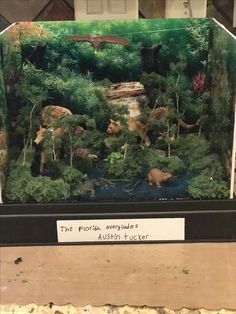 an aquarium filled with animals and plants in it's display case at a museum