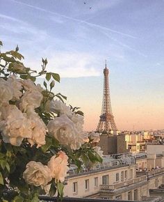 the eiffel tower towering over paris is seen in the distance from an apartment balcony