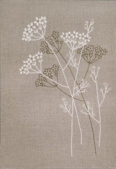 some white flowers on a brown background