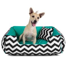 a small dog sitting on top of a black and white chevron pet bed with its tongue out