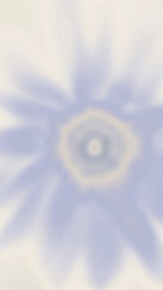 a blurry image of a white and blue flower with an orange center in the middle