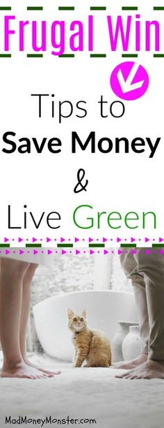 a cat sitting on the floor next to a person's legs and feet with text overlay saying frugal win tips to save money & live green